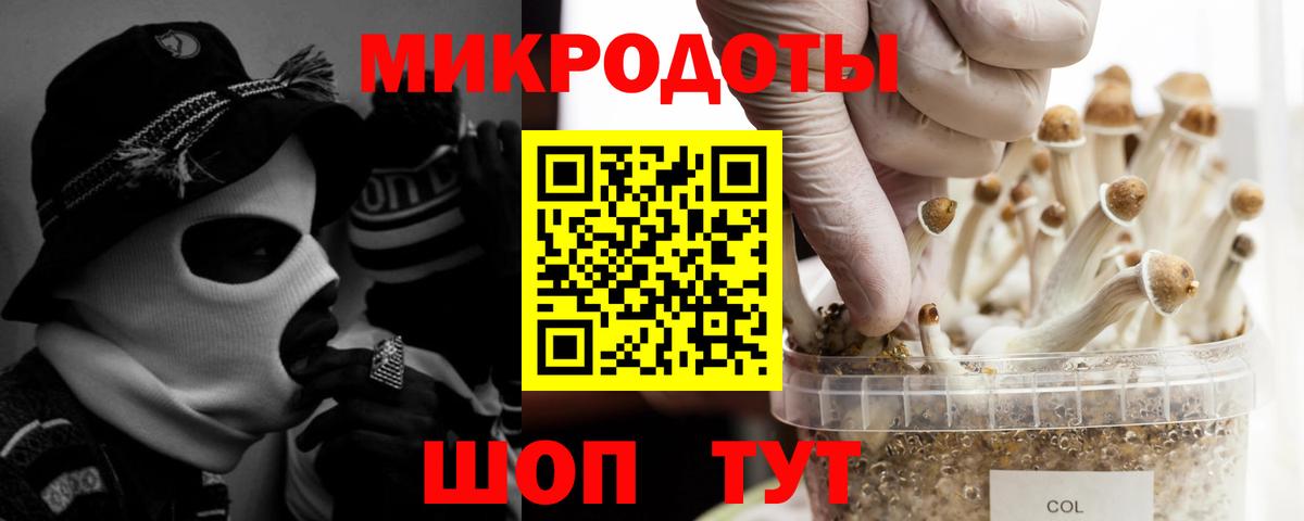 Ишимбай  Псилоцибиновые грибы Magic Shrooms  где купить   Вход с VPN 